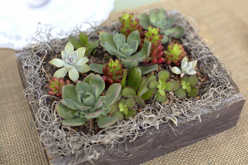 ​rustic succulent&nbsp;wedding&nbsp;centerpiece